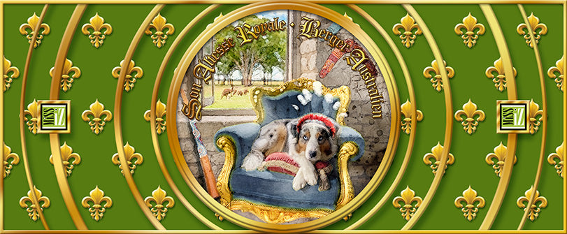 Mug "Berger australien" - Collection "Son Altesse Royale"