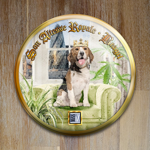 Badge "Beagle" - Collection "Son Altesse Royale"