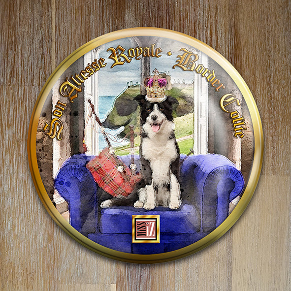 Badge "Border Collie" - Collection "Son Altesse Royale"