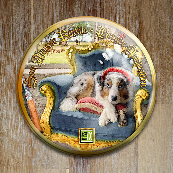 Badge "Berger australien" - Collection "Son Altesse Royale"